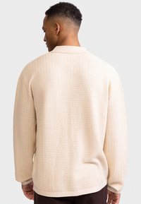 Beige knit sweater with a textured zigzag pattern, long sleeves, and a collared neckline, shown from the back.