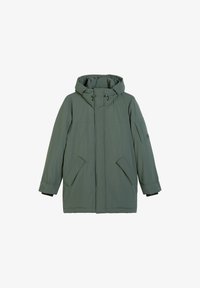 Ausgewählt, mangrove