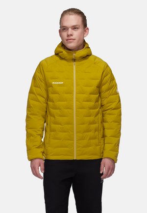 SENDER IN HOODED - Winter jacket - aura