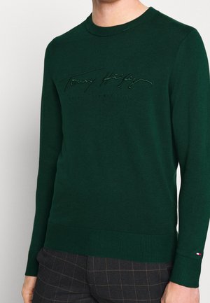 Homme portant un pull à col rond vert foncé avec le logo "Tommy Hilfiger" discrètement brodé et un petit emblème de drapeau sur le poignet de la manche.