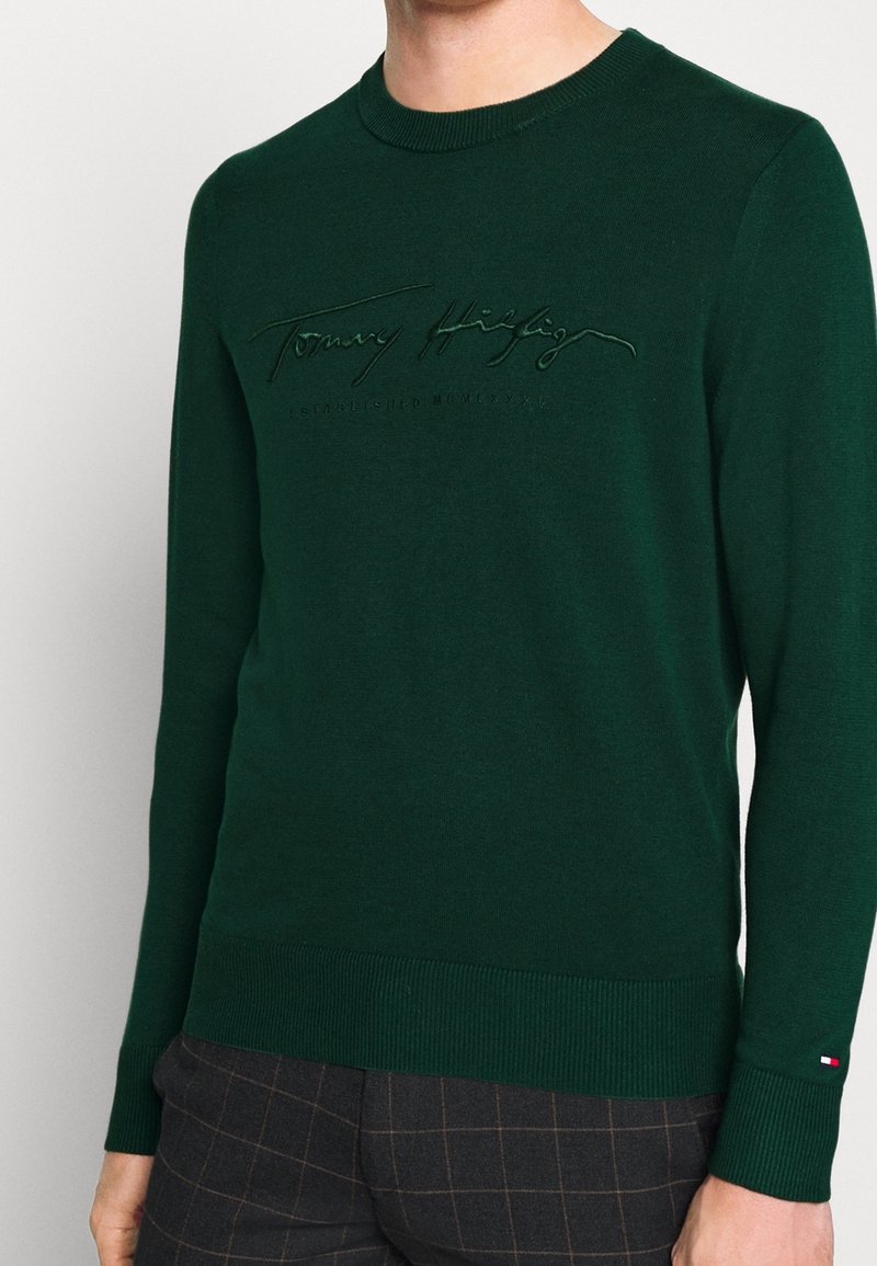 Homme portant un pull à col rond vert foncé avec le logo "Tommy Hilfiger" discrètement brodé et un petit emblème de drapeau sur le poignet de la manche.