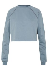 Felpa tagliata di colore azzurro chiaro, realizzata in morbido cotone con maniche lunghe, polsini a coste e cuciture a contrasto lungo le linee di giunzione.
