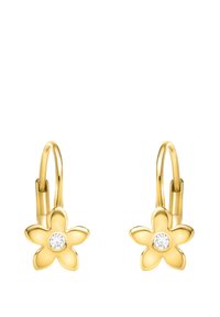 Guldblommiga örhängen med en central klar ädelsten, som har en slät yta och en gångjärnsbakdel för säker användning.