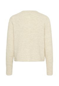 Helles beiges Sweatshirt mit einer weichen Textur, boxy Form und langen Ärmeln. Die Rückseite zeichnet sich durch ein einfaches, klares Design ohne Verzierungen aus.