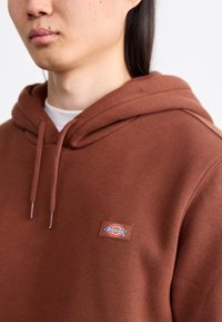 Brown hoodie made of soft fabric, featuring a tag with a circular logo. Hood with drawstrings, relaxed fit, and a textured finish.