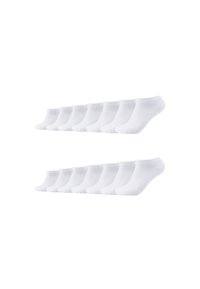 Weiße Knöchelsocken, die in zwei Reihen angeordnet sind. Jede Socke hat eine glatte Textur, ein elastisches Bündchen und ein abgerundetetes Fußdesign.