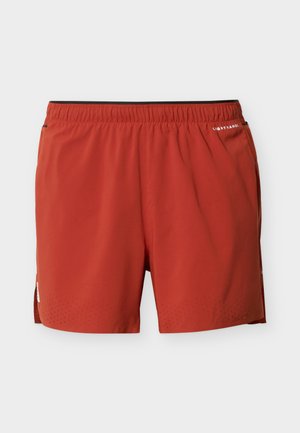 The North Face Summit Series, PACESETTER - Friluftsshorts - iron clay