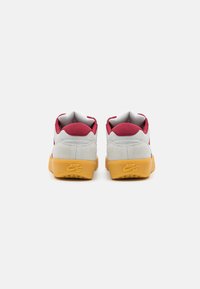 Nike SB Sneaker mit einem grauen Wildleder-Obermaterial, roten Akzenten, einem gepolsterten Kragen und einer Sohle aus Gummi, die das Nike-Logo zeigt.