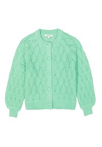 Minzgrün gestrickte Strickjacke mit strukturiertem Muster, Rundhalsausschnitt und Knopfschluss. Mit gerippten Bündchen und Saum.