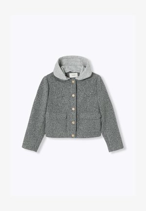 Veste en mélange de laine grise avec une capuche grise, dotée d'un boutonnage à l'avant, de deux poches avant et d'une finition texturée. Design casual et cropped.