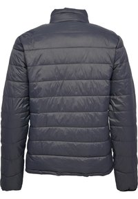 Donkergrijze doorgestikte donsjas met horizontale stiksels, hoge kraag en lange mouwen, gezien van de achterkant tegen een witte achtergrond.