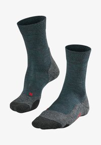 Seleccionado, scarab