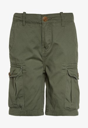 CRUCIAL BATTLE YOUTH - Pantaloni cargo - olive