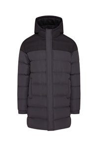 ALLENBLOCK - Abrigo de invierno - grey