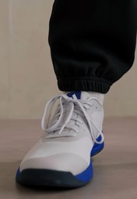adidas Performance RAPIDMOVE TRAINER - Trainingsschoen - dash grey/lucid blue/dark blue
