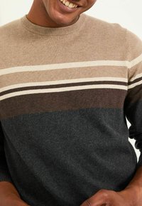 Strickpullover mit Rundhalsausschnitt, in Streifen aus Tan, Beige, Dunkelbraun und Anthrazitgrau. Weicher Textil mit gerippten Bündchen und Saum.