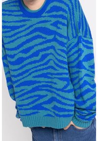 Blå stickad tröja med ett djärvt turkosa zebramönster, med rundad hals och ribbade ärmslut och nederkant. Mjuk textur.