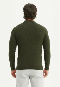 Pull en maille texturée vert ajusté, avec des manches longues et un ourlet en côtes. Vu de dos, avec des épaules lisses.
