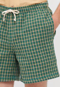 Shorts a righe verdi e beige con un tessuto testurizzato, cinturino elastico e chiusura con cordino; tasche laterali visibili.