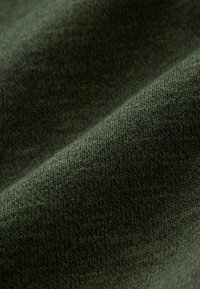 Next BORG  - Giacca da mezza stagione - khaki green