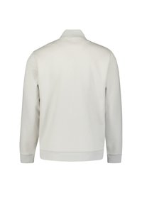 Lichtgrijze sweatshirt met een staande kraag, lange mouwen en een rechte zoom. Gladde textuur; geen zichtbare patronen of hardware.
