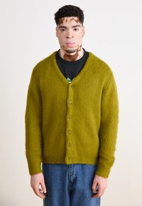 Manastash ABERDEEN KURTIGAN - Chaqueta de punto - pistachio