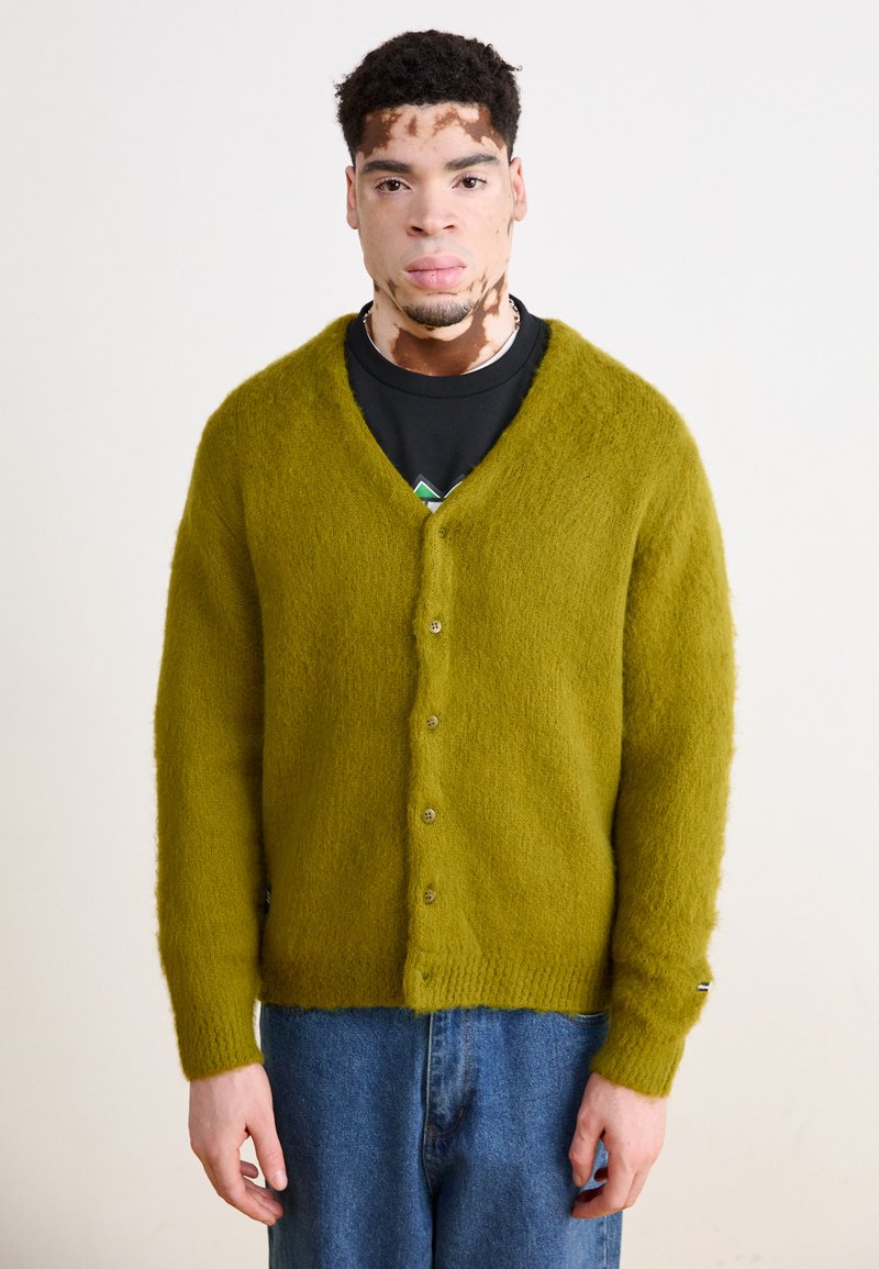 Manastash ABERDEEN KURTIGAN - Chaqueta de punto - pistachio