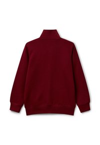 Burgunderfarbener Pullover mit hohem Kragen, gerippten Bündchen und Saum. Hergestellt aus dickem Stoff mit glatter Oberfläche, in einer einfachen, einfarbigen Ausführung.