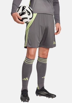 Graue Sportshorts mit grünen Seitestreifen, kombiniert mit grauen Socken mit grünen Akzenten. Ein schwarz-weißer Fußball wird gehalten.