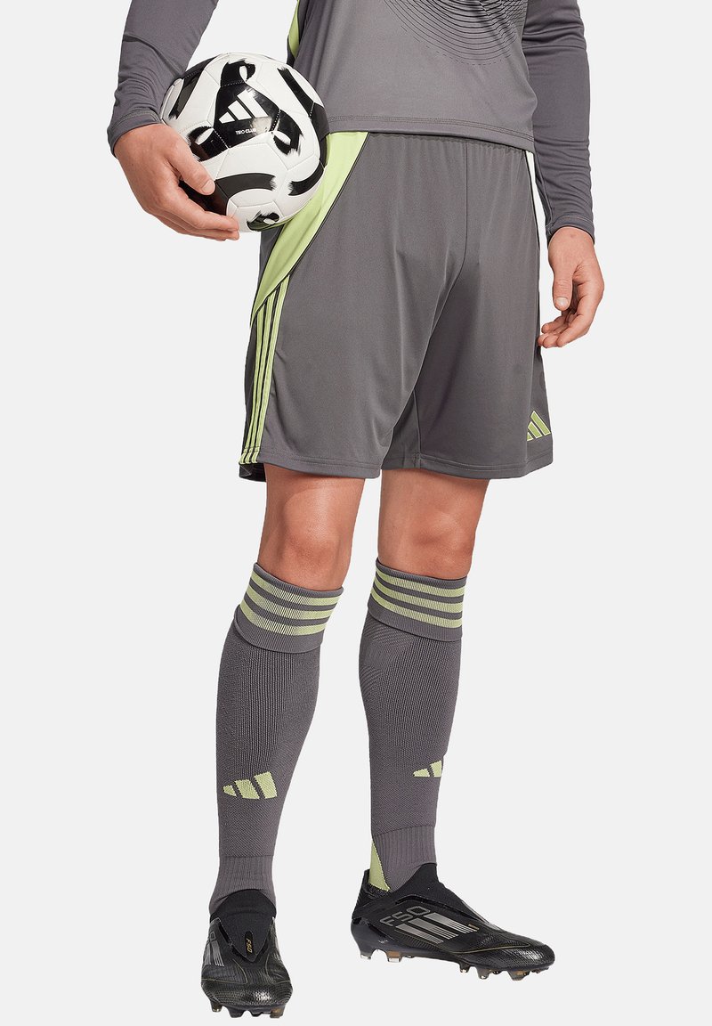 Pantaloni sportivi grigi con strisce verdi ai lati, abbinati a calze grigie con dettagli verdi. Si tiene in mano un pallone da calcio bianco e nero.