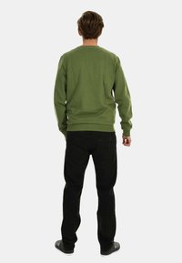 Green cotton sweatshirt with long sleeves, round neck, and ribbed cuffs, paired with black pants and dark sneakers. Viewed from the back.