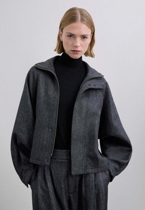 NEW CHOUSSY - Chaqueta fina - grey