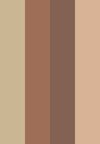 n.18 bronze patchwork