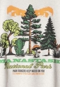 Occhi di orso sbiaditi sopra alberi variegati e funghi, con la scritta "Parco Nazionale MANASTASH" e "I Ranger del Parco ti tengono d'occhio" sotto.