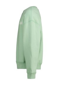 Hellgrüner Sweatshirt mit rundem Ausschnitt, gerippten Bündchen und Saum, dezenten Nähdetails und einem Logo auf der Schulter.