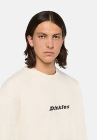 Dickies ENTERPRISE - Felpa - whitecap gray