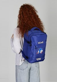 Mochila azul hecha de nailon, con un gráfico de un erizo corriendo. Incluye correas ajustables y múltiples compartimentos.