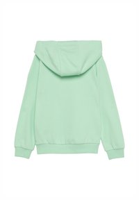 Jasnozielona bluza z kapturem o luźnym kroju, z dużym kapturem, ściągaczami przy mankietach i dolnym kroju oraz miękkim, gładkim materiałem bawełnianym. Bez wzorów ani akcentów.