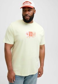 Lys grøn kortærmet t-shirt med grafisk design i pink og orange, der indeholder botaniske elementer og tekst, parret med lyseblå jeans.
