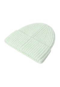 Berretto a cuffia a coste verde chiaro, realizzato in materiale morbido e testurizzato. Design semplice senza motivi visibili o elementi metallici.