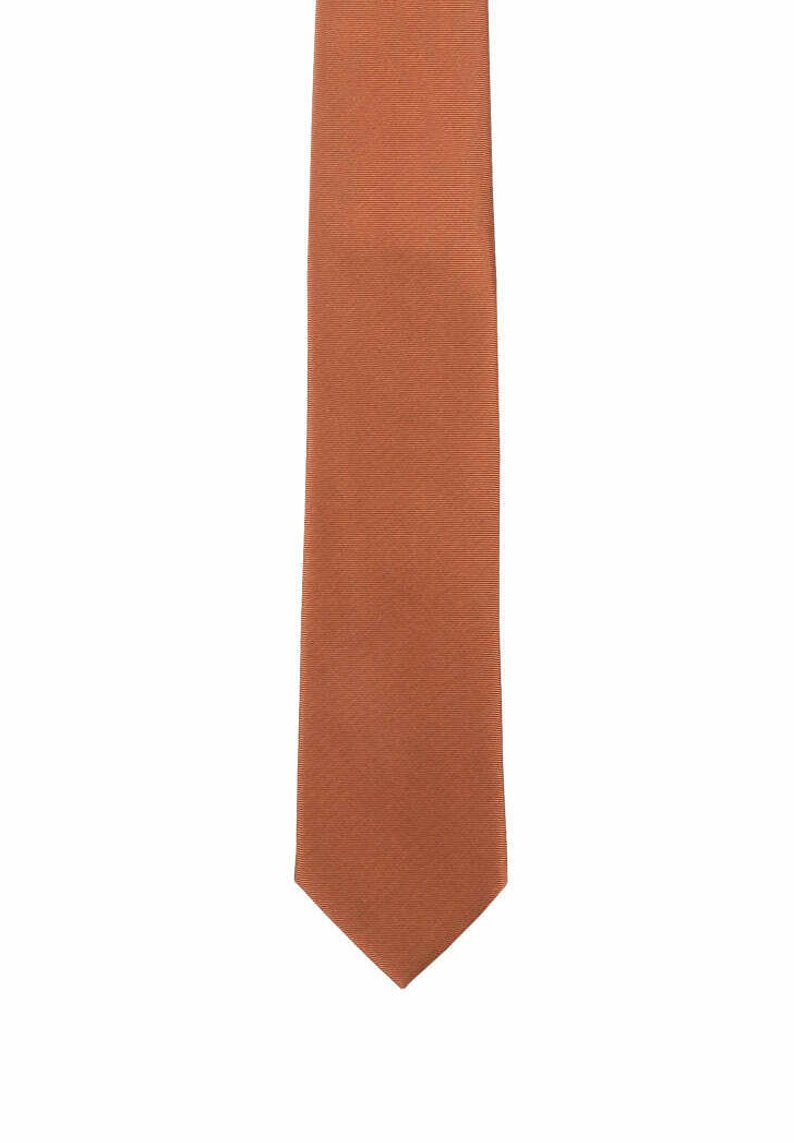 Slim, textured tie in a warm rust color, featuring a subtle pattern. Material appears smooth with a pointed tip.