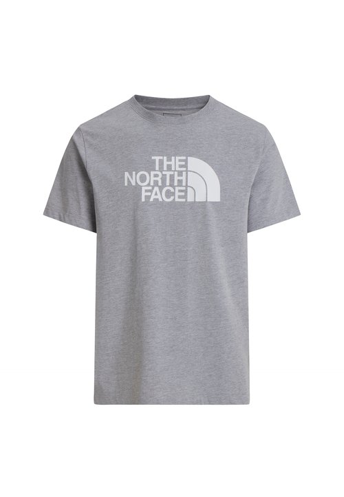 The North Face M EVOLUTION HALF DOME REGULAR SHORT SLEEVE TEE - Print T-shirt - tnf pale grey heather t — photo 6