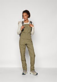 Fjällräven VARDAG DUNGAREE TROUSERS W - Hlače za na prostem - green
