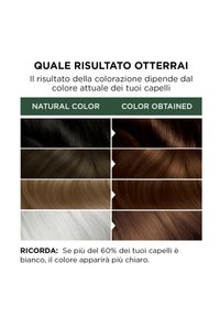 Garnier TINTA CAPELLI BELLE COLOR NATURALS COLORAZIONE PERMANENTE SENZA AMMONIACA AL 90% DI ORIGINE NATURALE - 2 PACK - Tinte capelli - castano luminoso (4.13)
