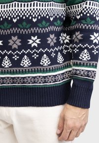 Marineblauer Pullover mit weißen, grünen und grauen Weihnachtsmustern, einschließlich Herzen, Bäumen und Schneeflocken, getragen mit hellen Hosen.