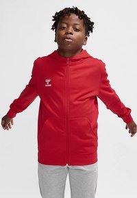 Sweat à capuche rouge à fermeture éclair avec capuche, poches kangourou et logo sur le côté gauche de la poitrine, porté avec un pantalon de survêtement gris. Tissu lisse, design décontracté.