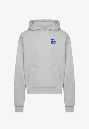 Mister Tee, BIG APPLE NYC ULTRA HEAVY BOX - Kapuutsiga pusa - grey