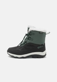 Jack Wolfskin VOJO SHELL TEXAPORE MID UNISEX - Snowboot/Winterstiefel - slate  green/grün