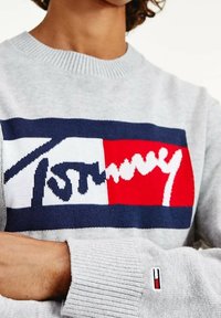 Grauer Strickpullover mit einem bunten Logo-Design in Marineblau, Rot und Weiß; gerippter Kragen und Bündchen mit kleinem Markenschild am Ärmel.