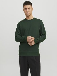 Jack & Jones UNISEX - Sweatshirt - mountain view